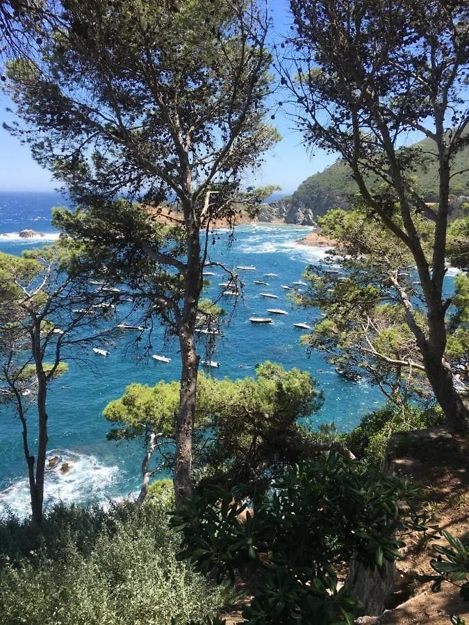 Cap Sa Sal Navy, Begur, Girona Lägenhet